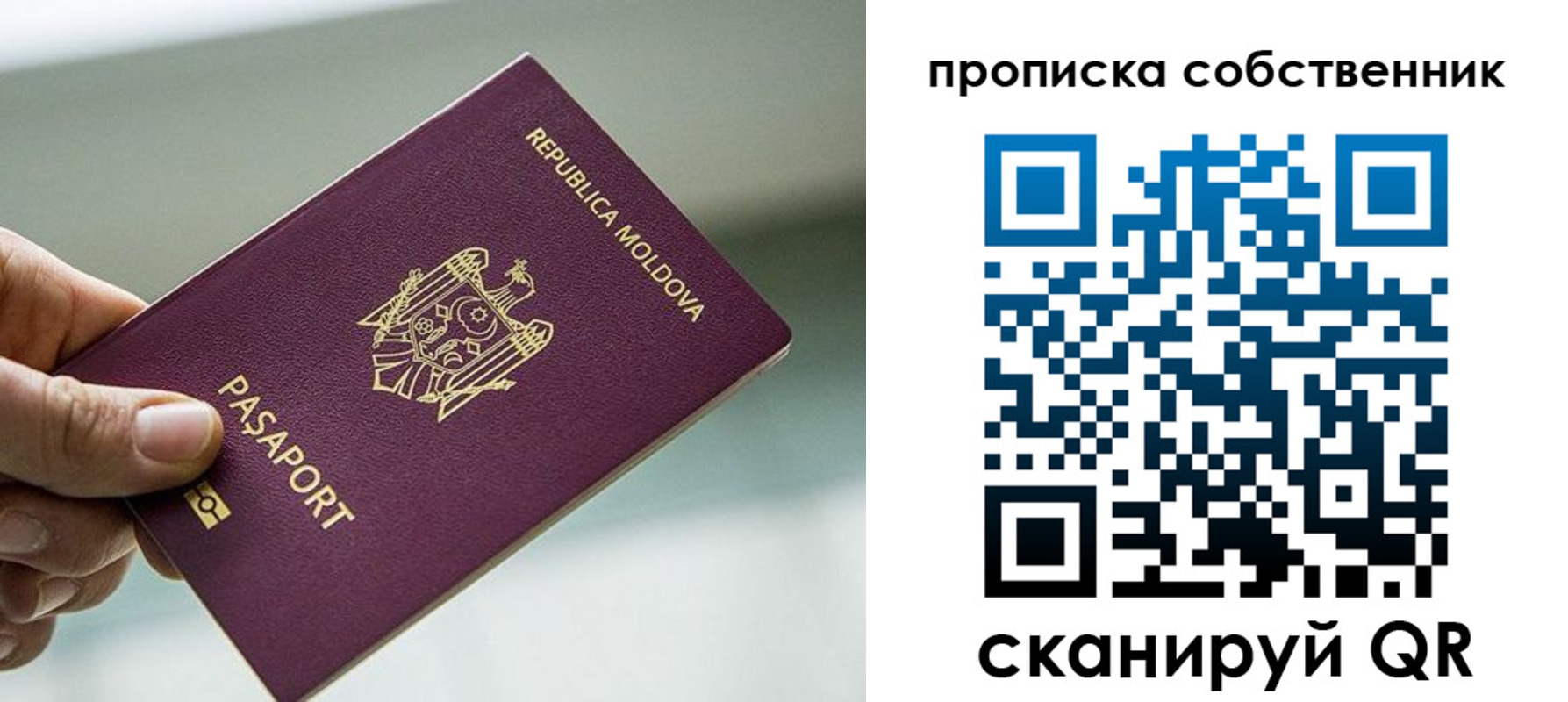 прописка паспорт в Среднеуральске